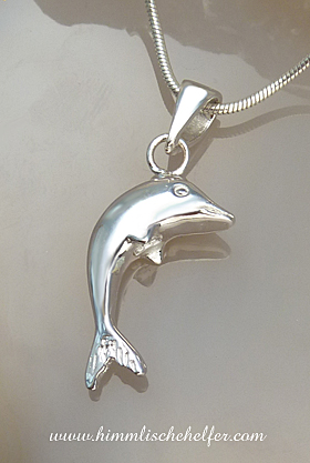 delphin_23011_tiere_krafttier_schmuck.jpg