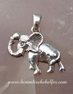 elefant_290711_krafttier_sc.jpg
