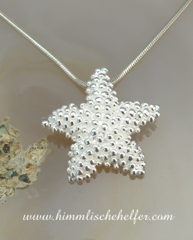 seestern_310113_anhaenger_tiere_schmuck.jpg