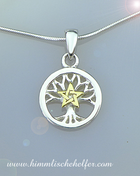 lebensbaum_140816_pentagramm_silberschmuck.jpg